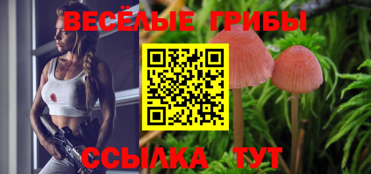 Кинель  Псилоцибиновые грибы ЛСД  что такое наркотик  Галлюциногенные грибы GOLDEN TEACHER  Вход с VPN 