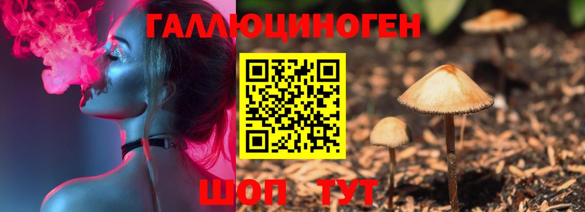 Псилоцибиновые грибы мухоморы Кинель